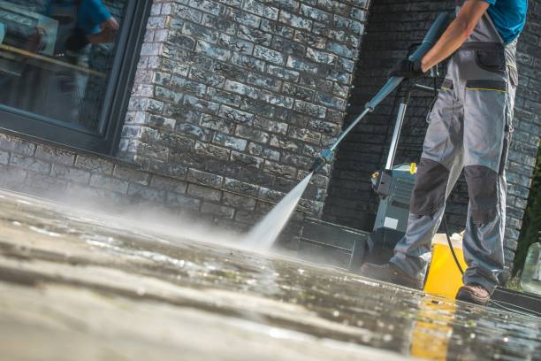 Best Gutter Cleaning  in Island City, OR